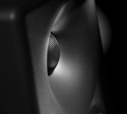 Neumann KH 80 DSP