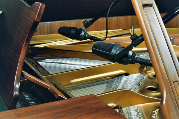 Neumann TLM 170 R