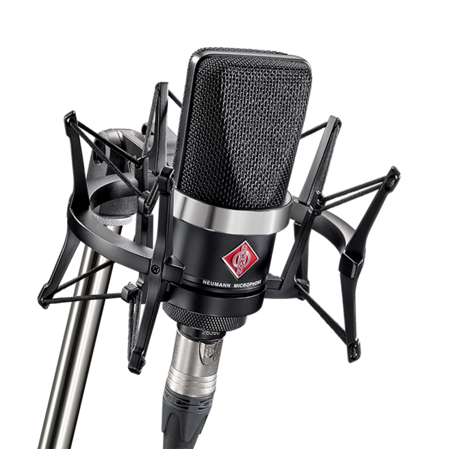 Neumann TLM 102