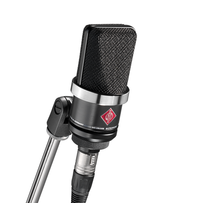Neumann TLM 102
