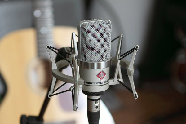 Neumann TLM 102