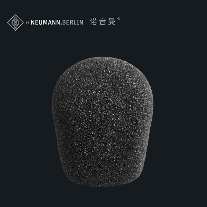 Neumann WNS 120