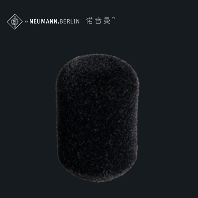 Neumann WS 110 – Telesoundaudio