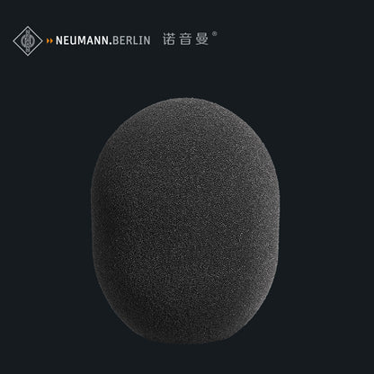 Neumann WS 2