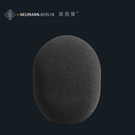 Neumann WS 2